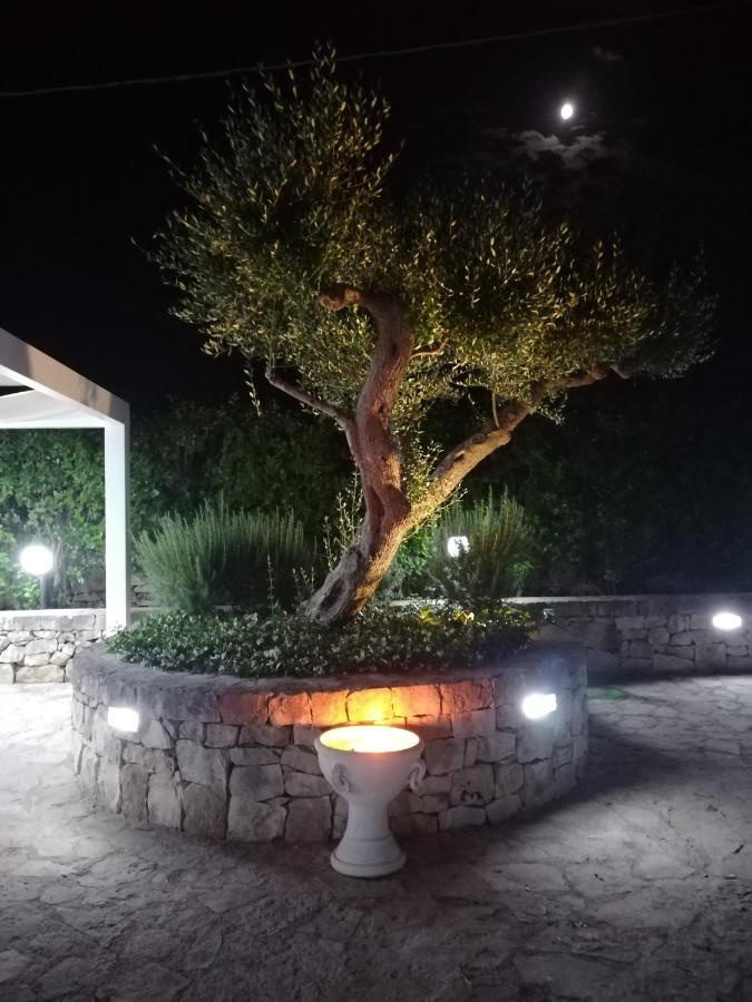 בית הארחה אלברובלו 	Trullo Monte Del Sale מראה חיצוני תמונה