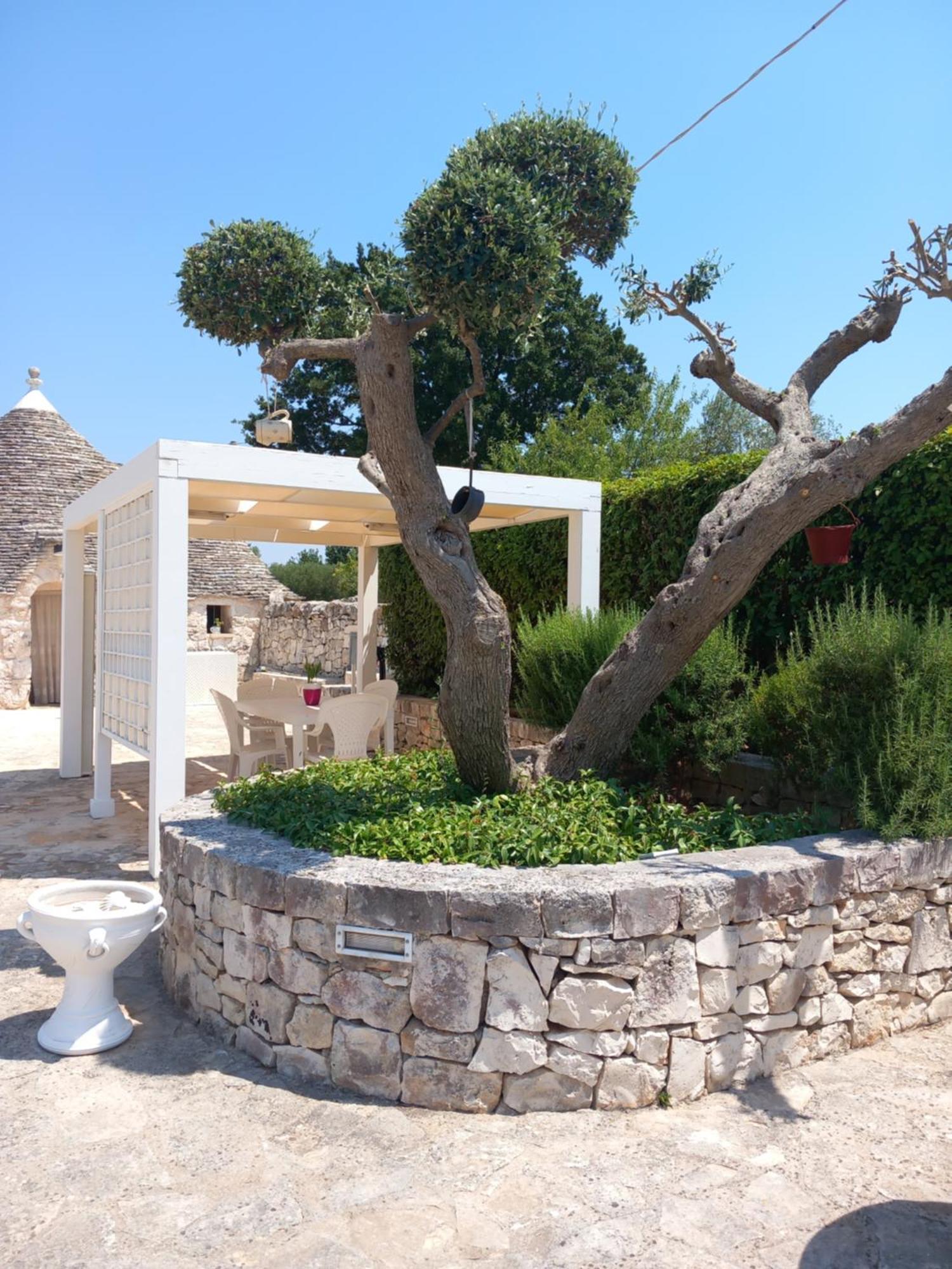 בית הארחה אלברובלו 	Trullo Monte Del Sale מראה חיצוני תמונה