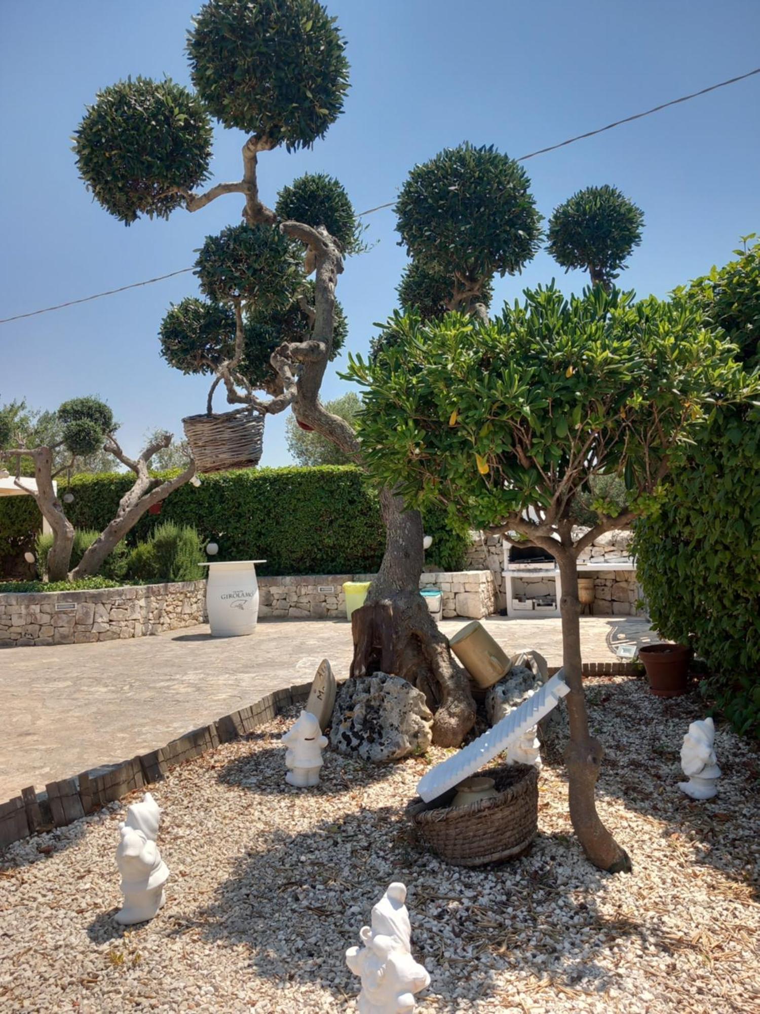 בית הארחה אלברובלו 	Trullo Monte Del Sale מראה חיצוני תמונה