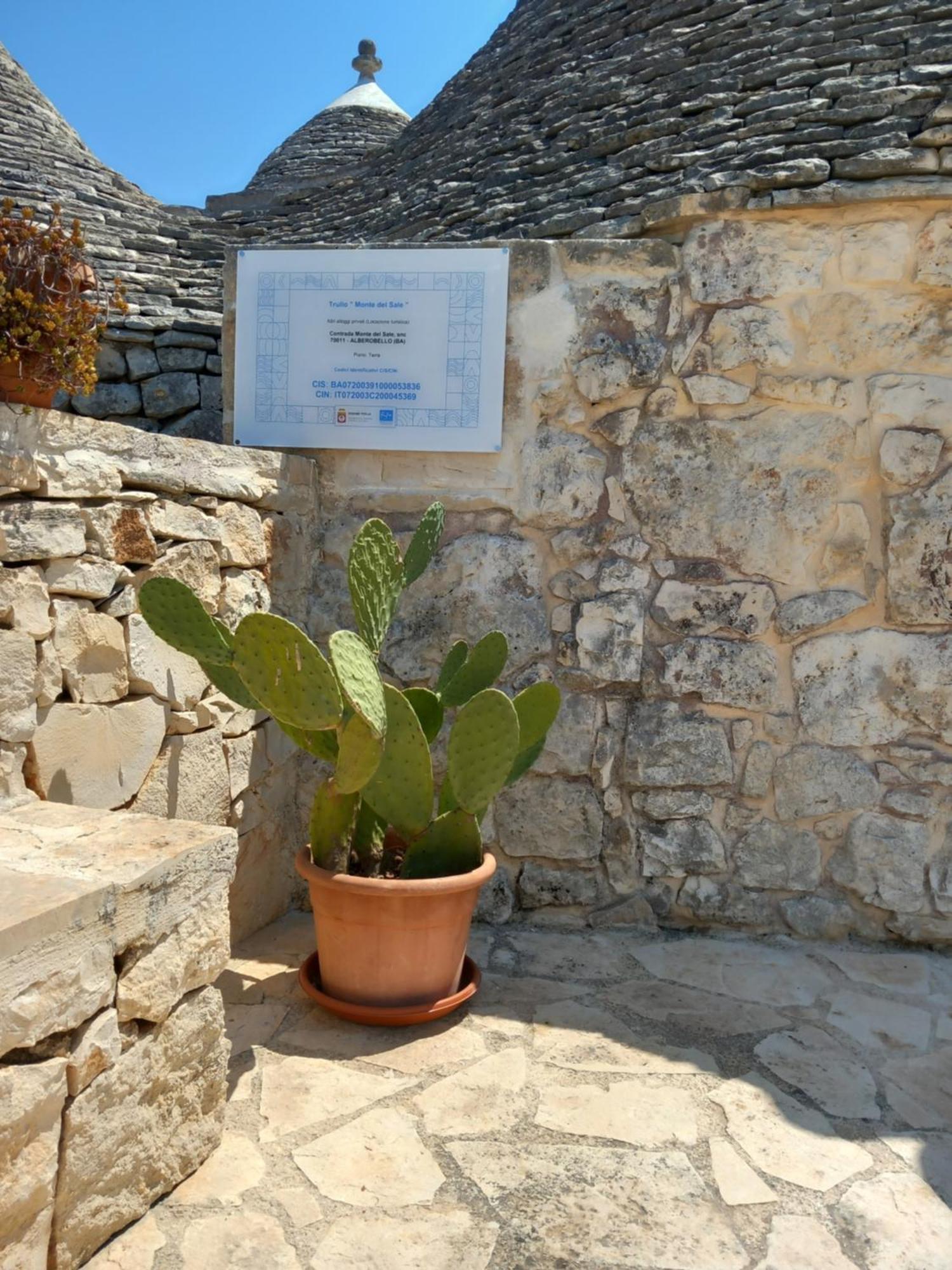 בית הארחה אלברובלו 	Trullo Monte Del Sale מראה חיצוני תמונה