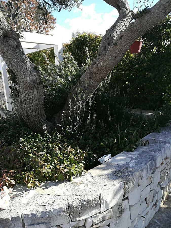 בית הארחה אלברובלו 	Trullo Monte Del Sale מראה חיצוני תמונה