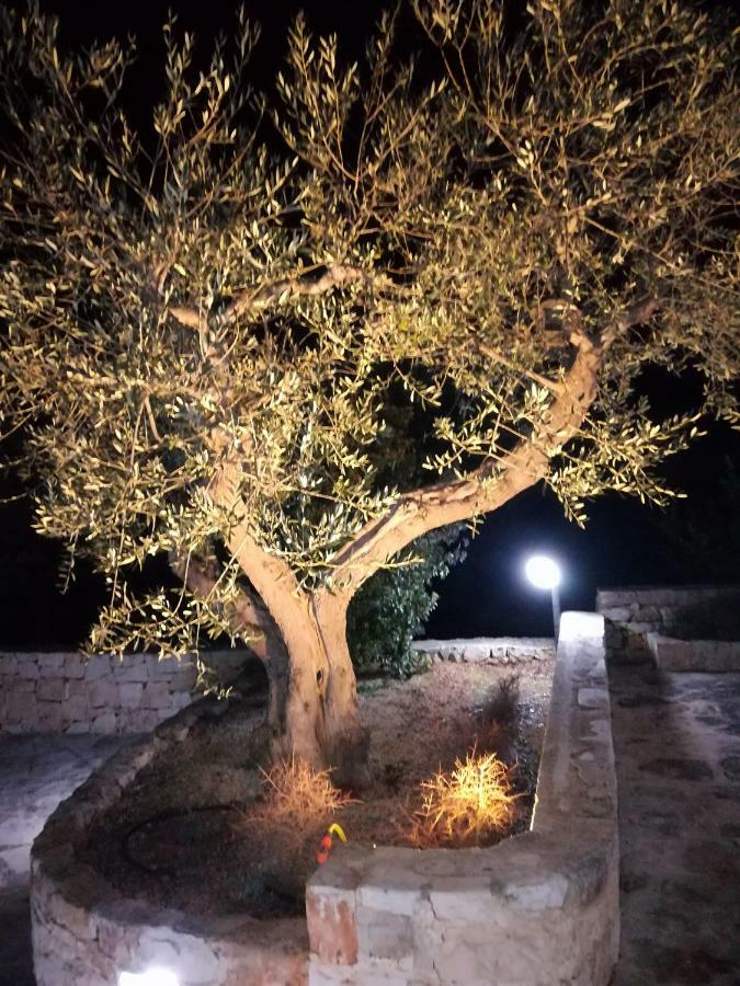 בית הארחה אלברובלו 	Trullo Monte Del Sale מראה חיצוני תמונה