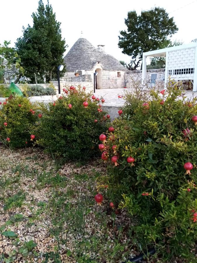 בית הארחה אלברובלו 	Trullo Monte Del Sale מראה חיצוני תמונה